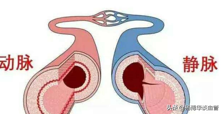 小腿静脉血栓做什么运动好,预防下肢静脉血栓的运动视频