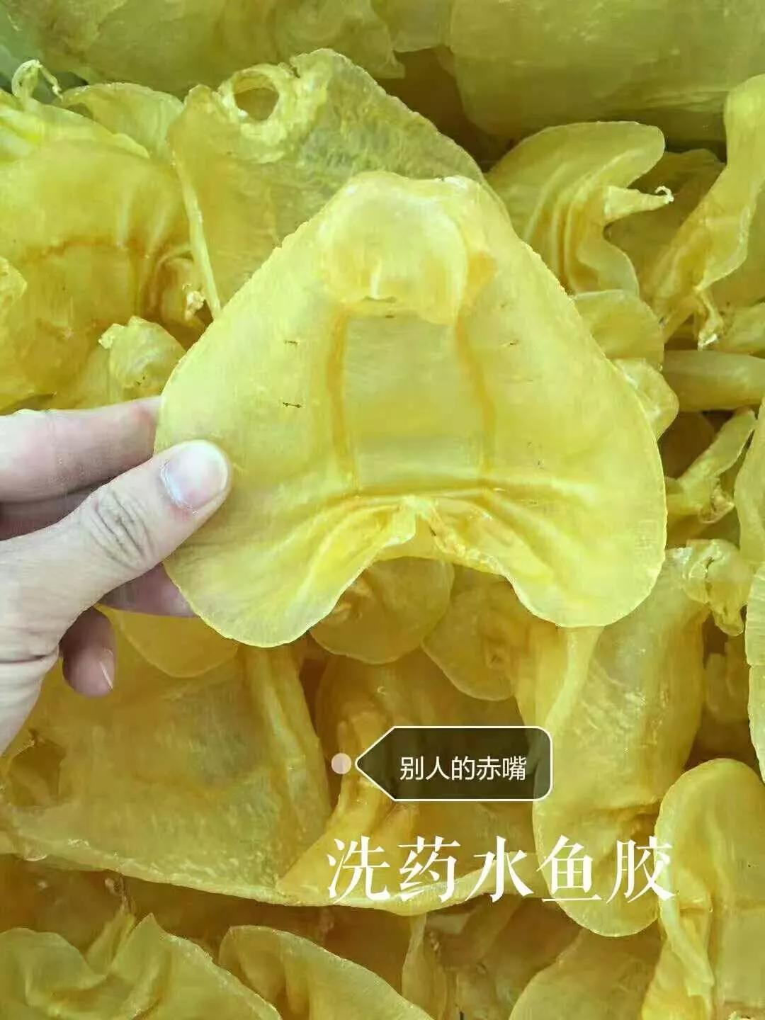 如何辨别鱼胶花胶的好坏,北海鱼胶怎样区分好坏