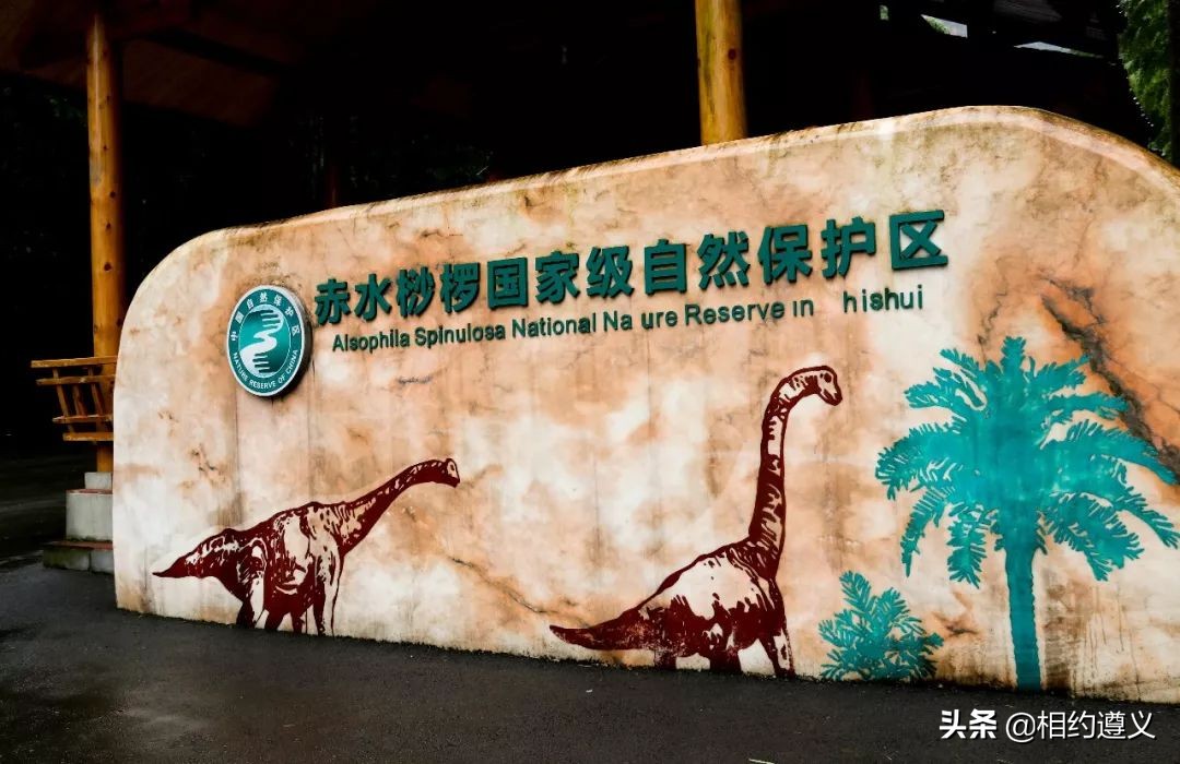 赤水大瀑布 侏罗纪公园 (世界唯一保留的侏罗纪原始公园)