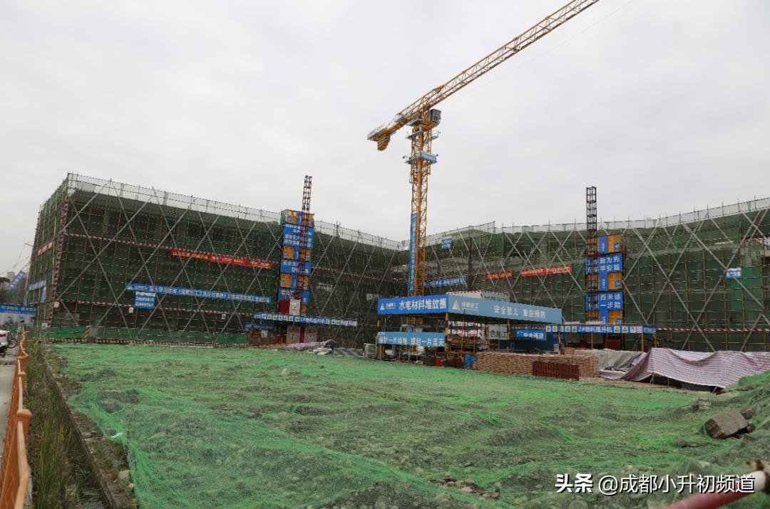 公办初中含金量,新的公办初中到底好不好