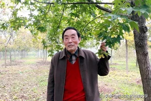 国外专家高度评价：这位86老人，他的终级梦想是解决中国食用油问题！