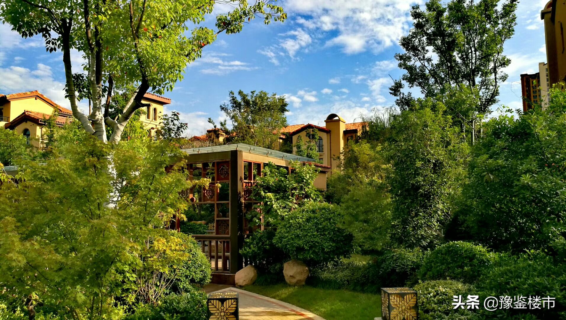 郑州正商最新事件,正商为什么那么多