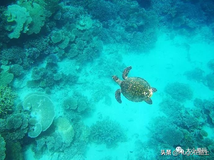 亲子海岛旅行攻略,7月最适合亲子游的海岛