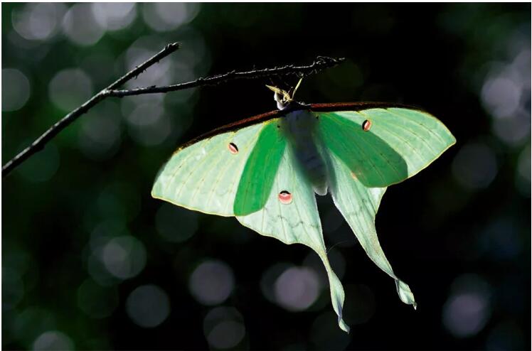 程斌摄影师,程斌摄影师作品