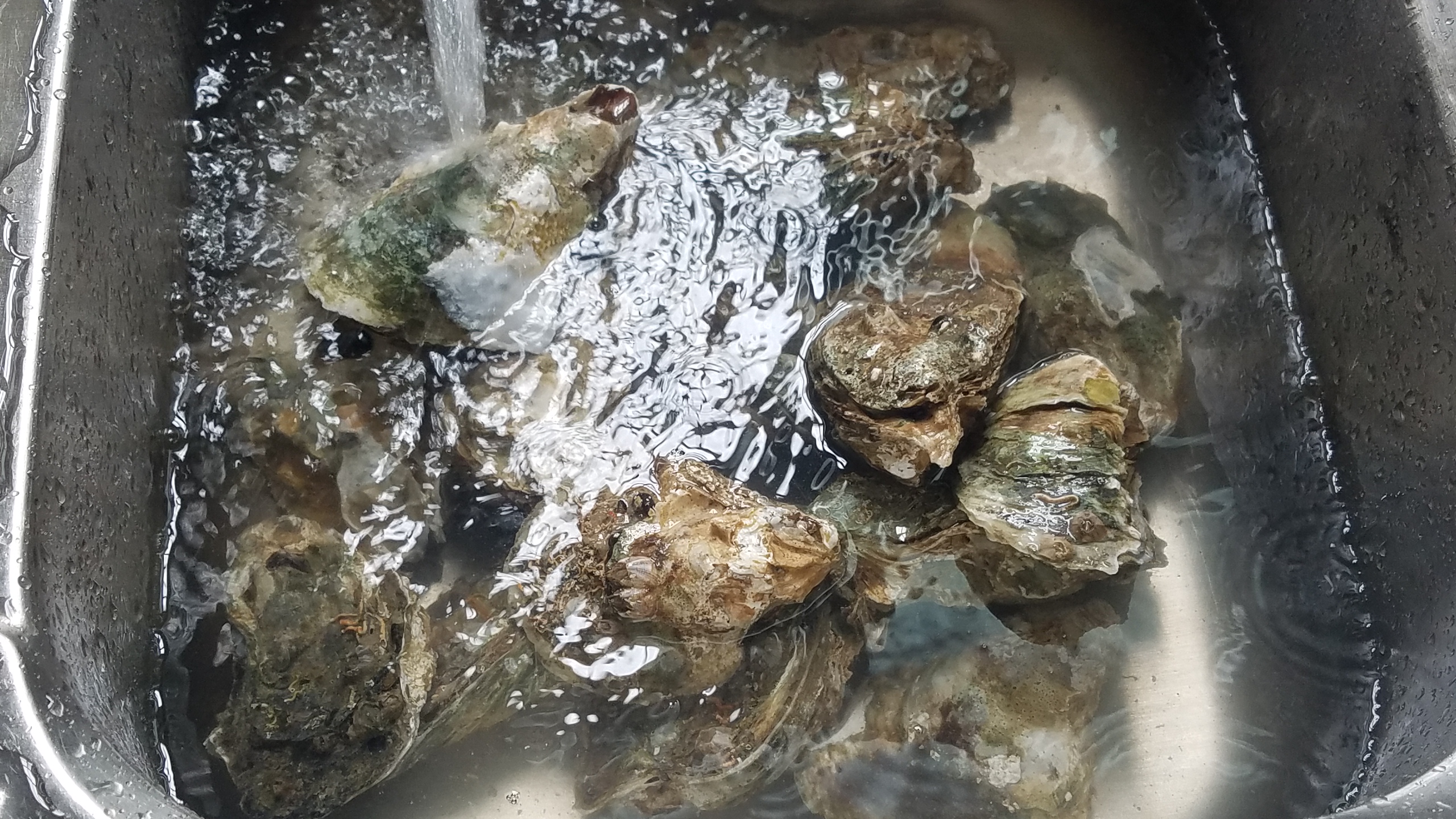 生蚝又好吃又简单的做法,生蚝的多种做法大全