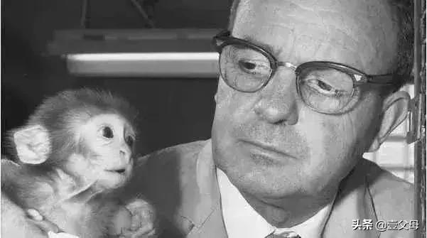 母亲心理学上的意义,妈妈必须知道的心理学实验