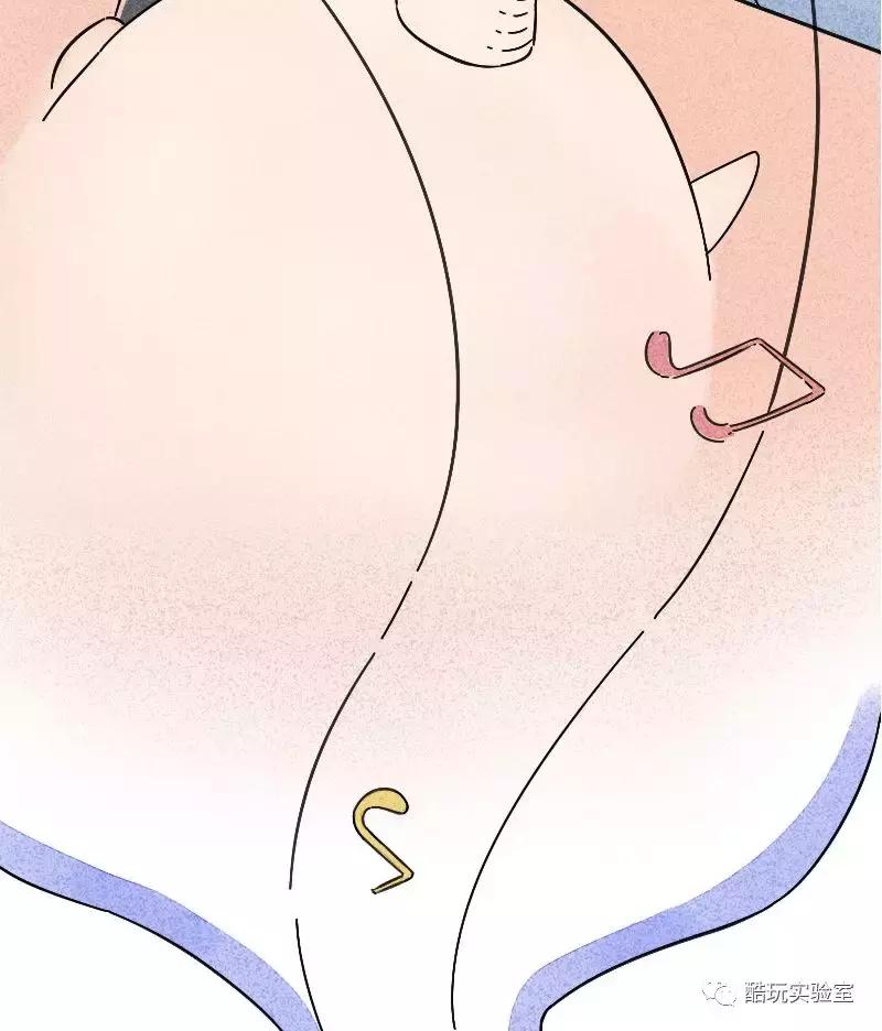 吃太多的糖会让你变胖,让你变丑变老的不是脂肪而是糖