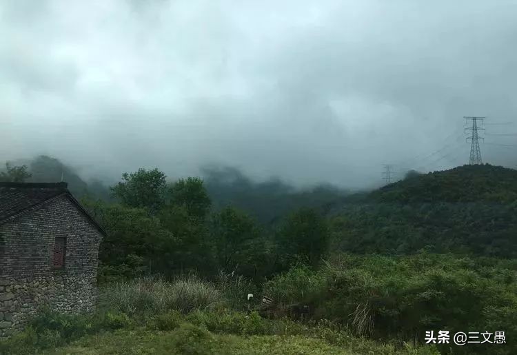当角们走近东屏|浙江台州三门县雨中漫步游记