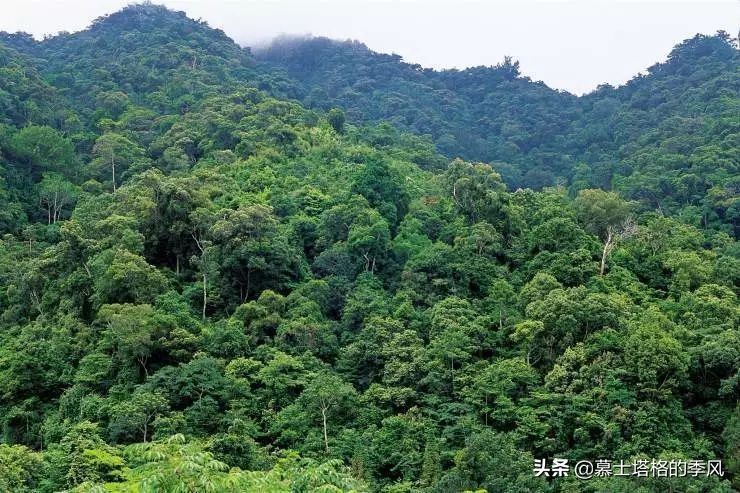 海南最便宜的养老小镇,海南被低估的县