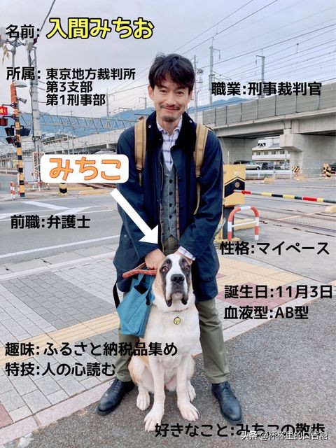 2022年高颜值恋爱日剧,日剧推荐2021正在热播的甜宠剧