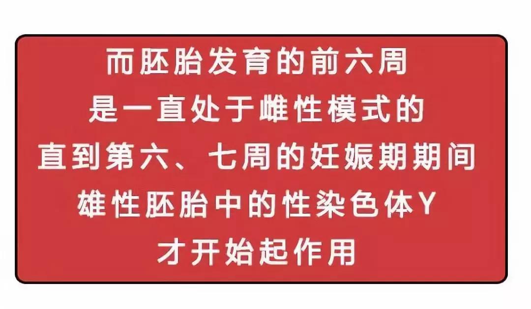 男性的胸部到底有什么用？又不能喂奶！可以丰胸吗？
