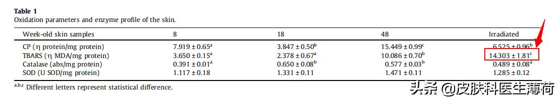 如何防止光老化氧化,预防光老化的最佳方法