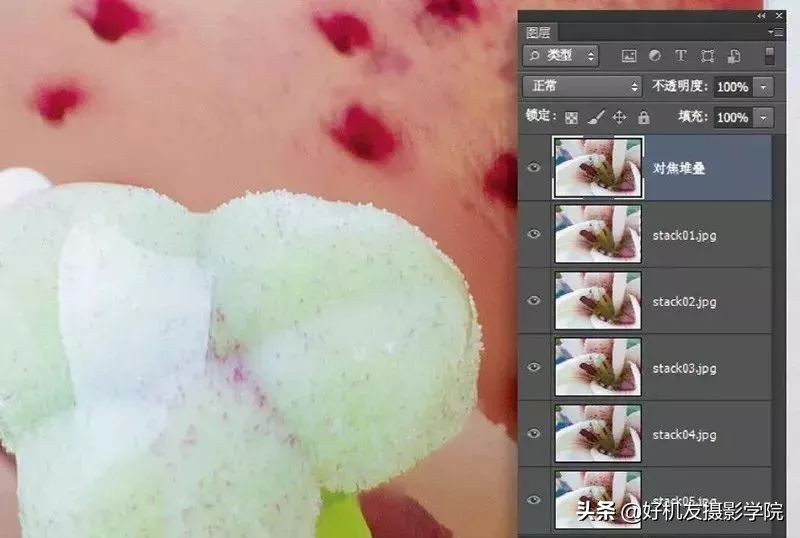 景深后期怎么合成照片,如何拍出前虚后实的景深照片