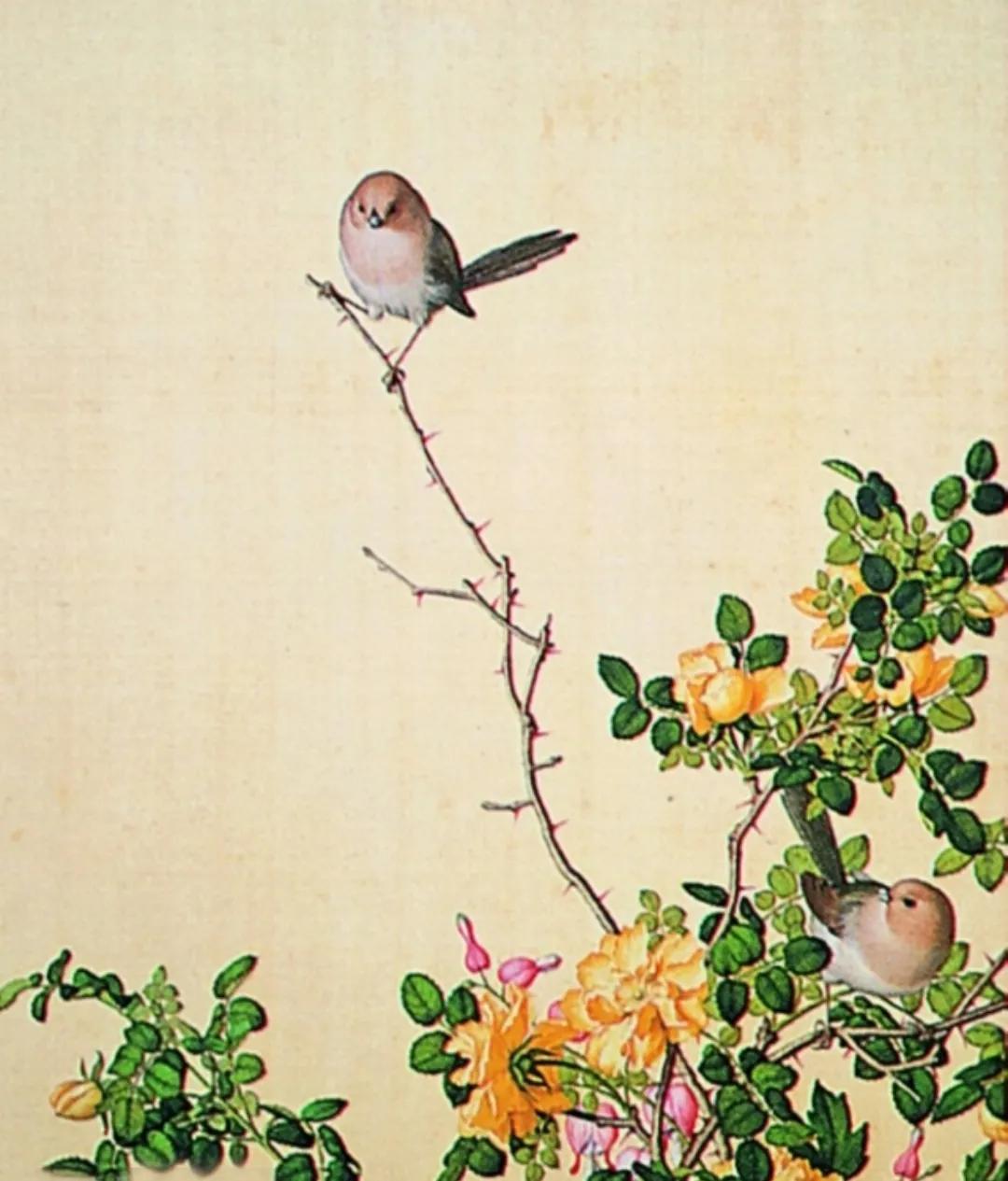 米小圈足球训练,小学足球训练短视频