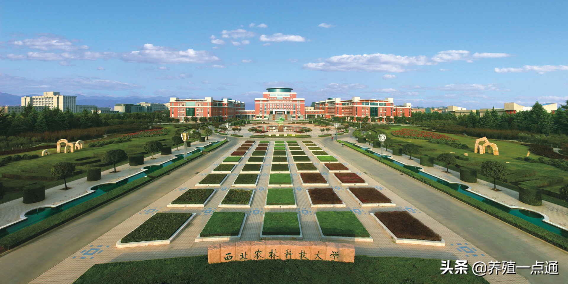 李晓，河北辛集人，西北农林大学副教授、博导，猪业+人造肉专家