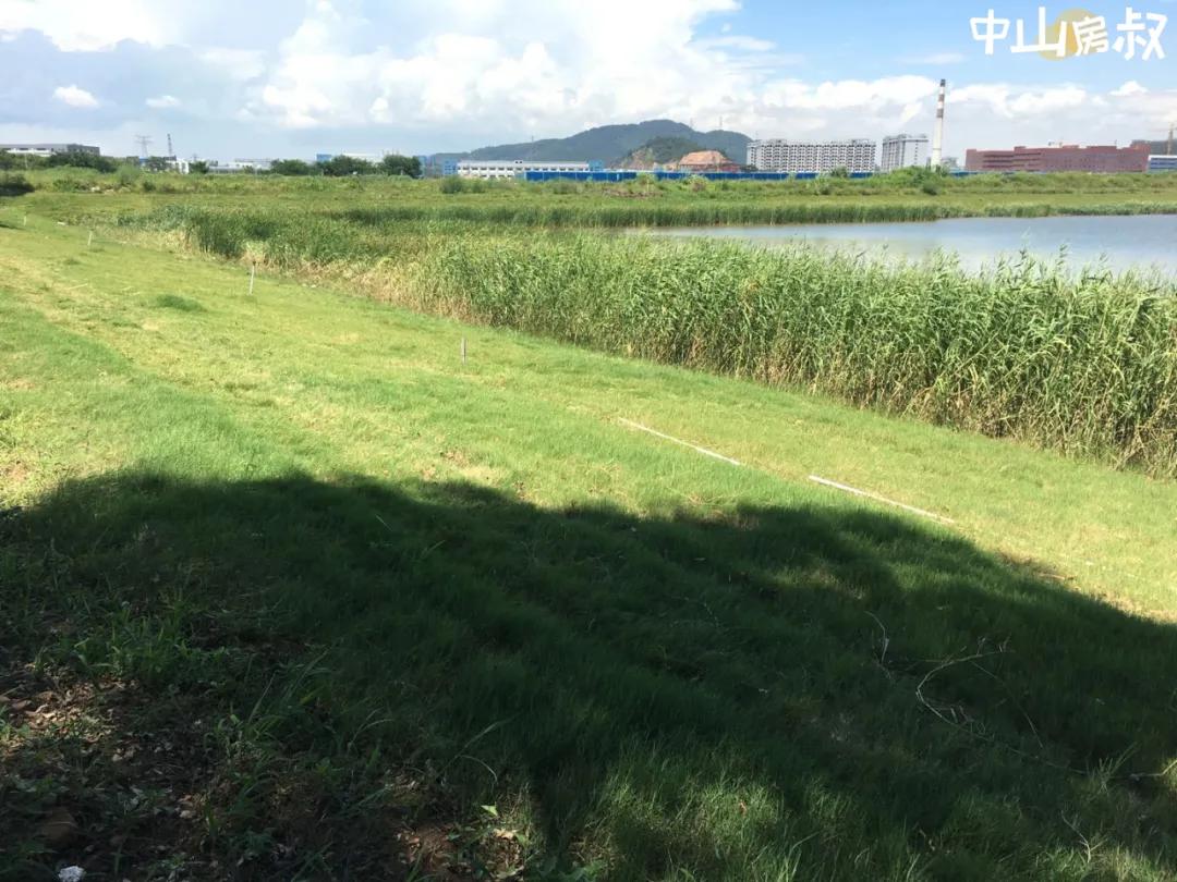 马鞍岛会成为中山的睡城吗,马鞍岛睡城