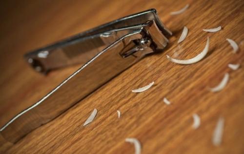 用军工材料做指甲刀，49元一把10年不用磨，网友：不愧是德国制造