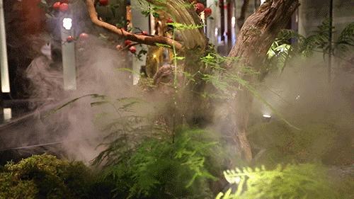 云龙湖环境好的餐厅,云龙湖畔的最美餐厅