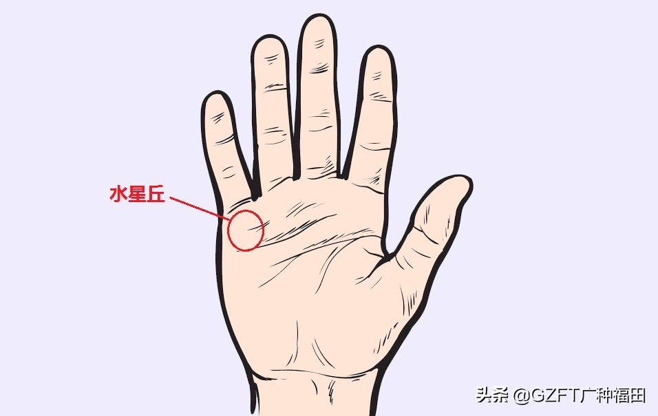 5分钟学会看手相,如何从零开始学会看手相