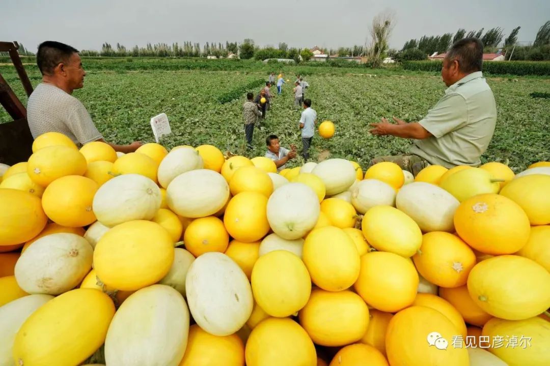 来认识一个不一样的我翻译,来认识不一样的滑雪