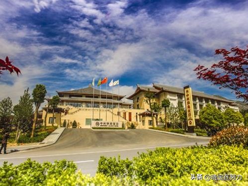 河南五星级酒店多少个,河南省各地市五星级酒店