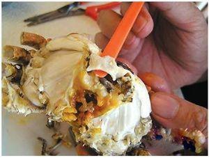 吃螃蟹有技巧，10步图解正确吃蟹方法