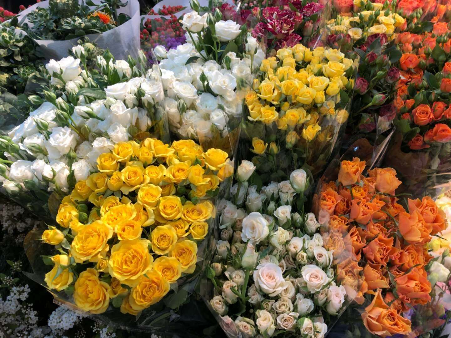 厦门鲜花花市,花市厦门