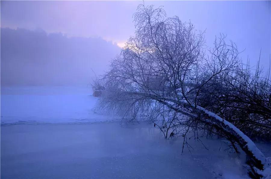 冬天的阿勒泰冰雪,冬天的雪冰雪奇缘