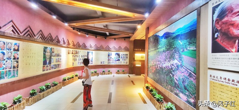 三亚这个用一难吃果子命名的地方，见血封喉皮做衣服，妇女都纹面