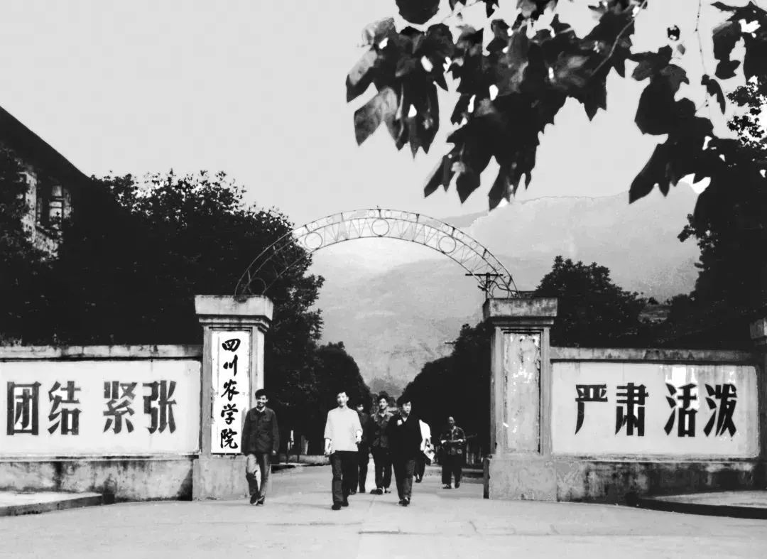 身为“双一流”，四川农业大学的实力如何？这7个数据给你答案！