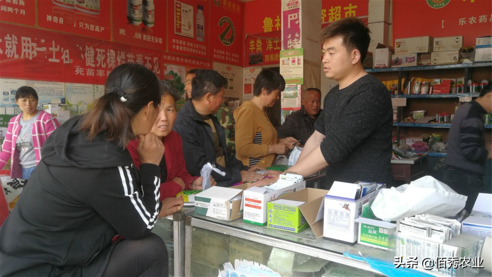 农村小规模种植什么赚钱,未来农村种植赚钱的六个方向