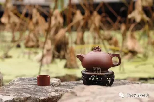 铸铁壶怎么养壶才好用视频,陶瓷壶开壶养壶的正确方法