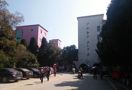 泰和三中和四中哪个最好,泰和三中环境怎么样