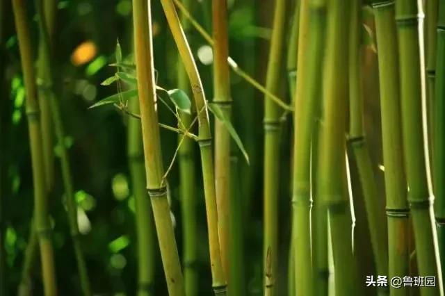 家具流行的新材料,全铝家具新材料