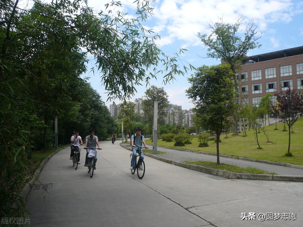 四川省所有大学录取分数线2024,四川各一本大学2019年录取分数线