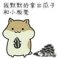 毛巾厂,毛巾厂纺织厂