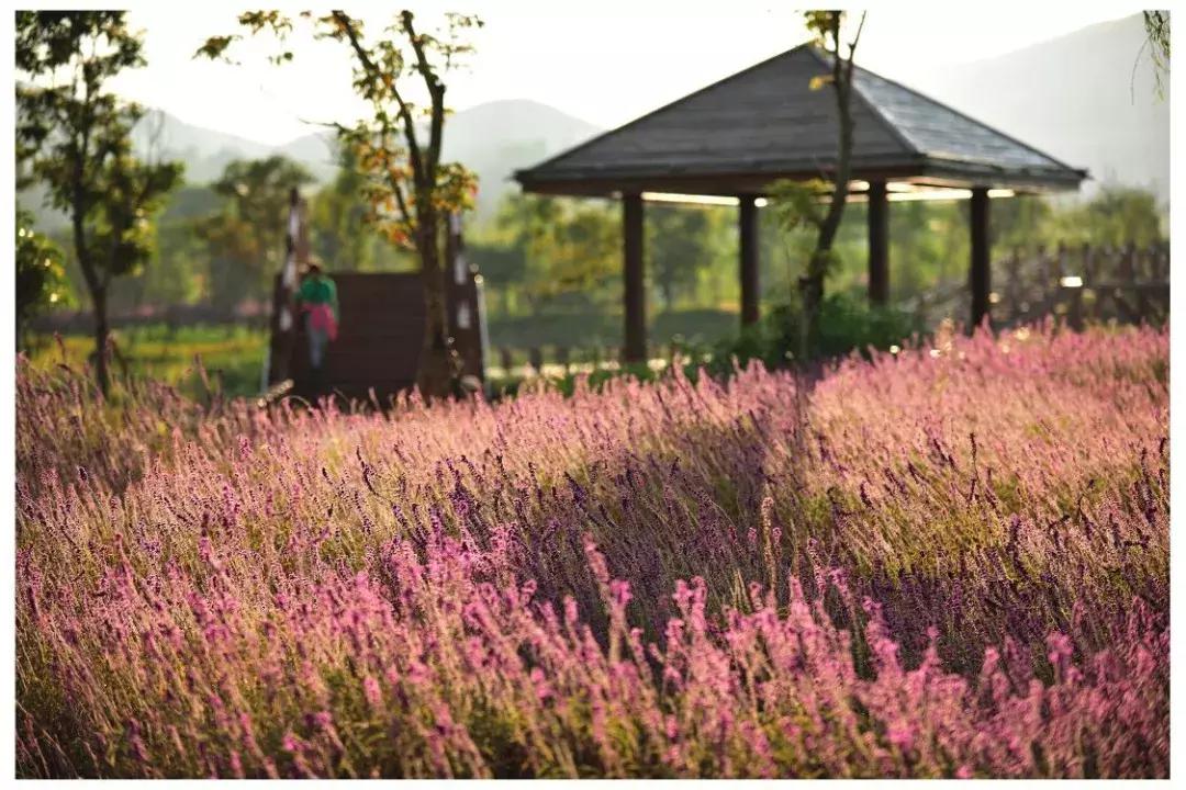 开远有多远,开远是哪