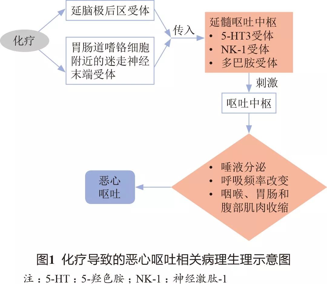 抗肿瘤药为什么胃肠道反应大,抗肿瘤药物引起的腹泻怎么处理