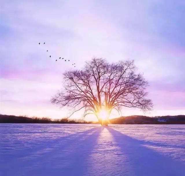 疫情“：从用工之荒到订单之殇到国际品牌休业