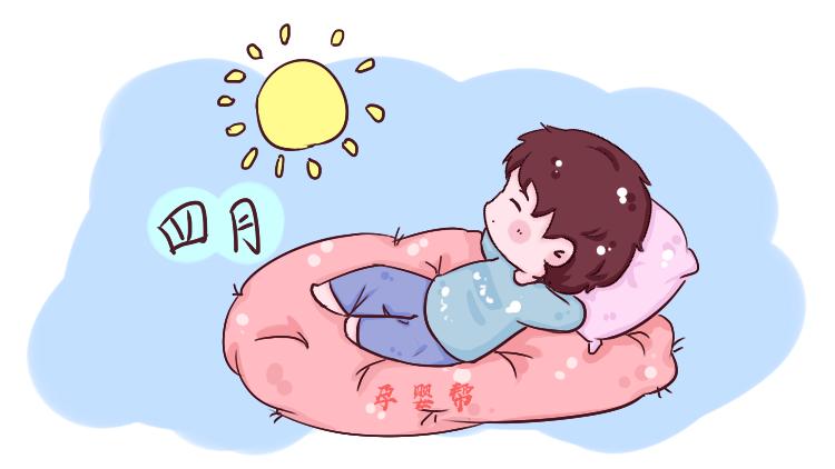 猪宝宝几月出生最好最有福气,19年的猪宝宝是什么星座