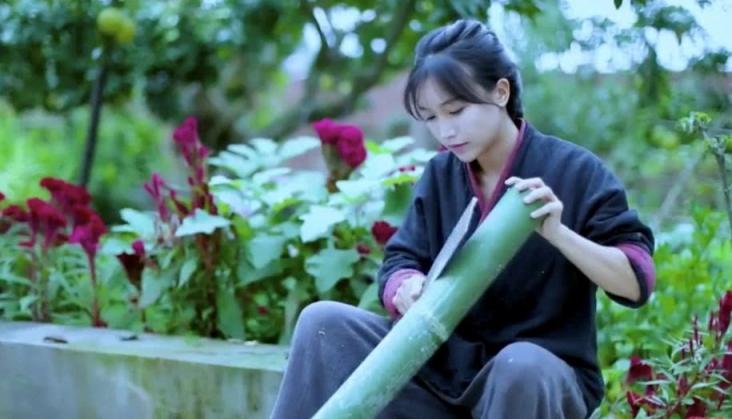 张同学与李子柒视频拍摄对比,李子柒张同学为什么会红