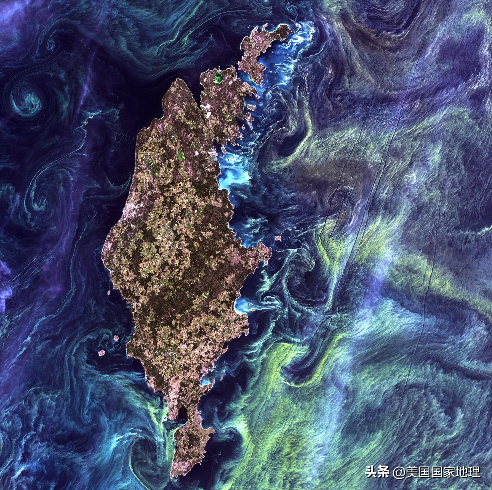 自然杂志中科院,自然杂志2020