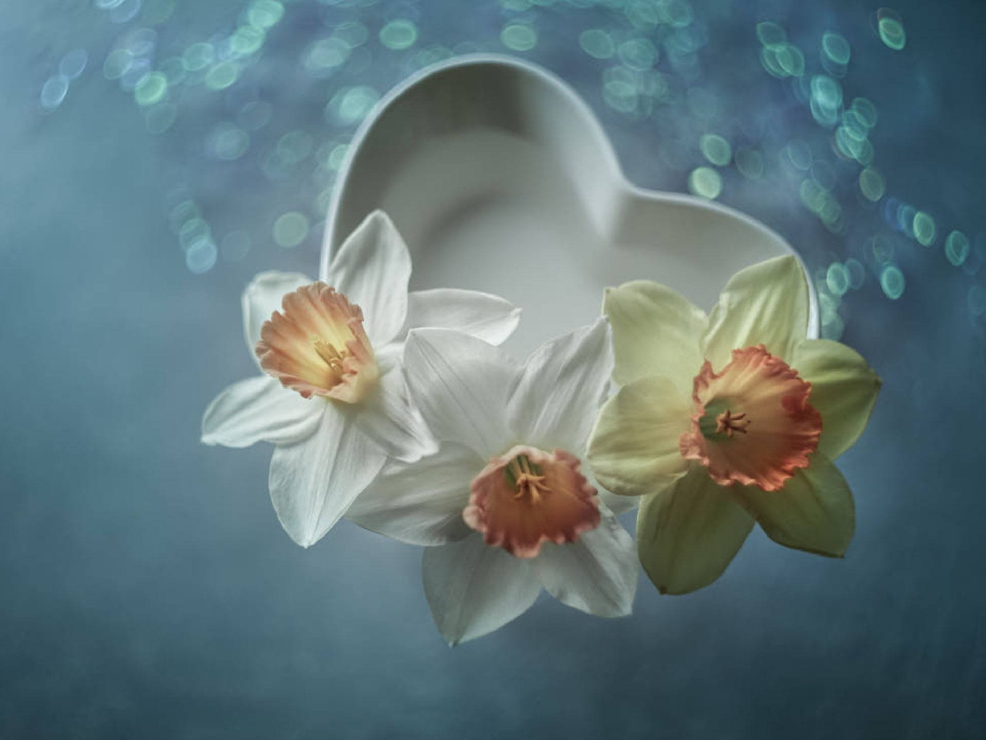 一定要追自己喜欢的女生的星座男,只要喜欢你就不放弃追求的星座男