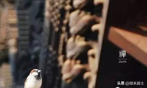 佛说一句话点醒无数人,佛说一句话悟透人生