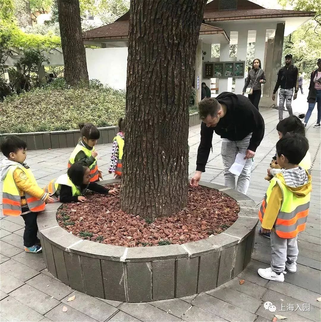 探园高端幼儿园,探园本地幼儿园