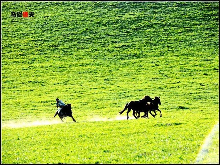 布里亚特牧民骑马摄影作品,草原蒙古族服饰摄影