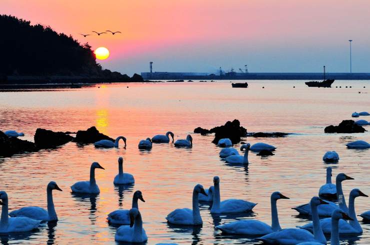 荣成海草房驿站,荣成生态民居海草房