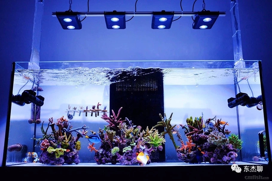 养珊瑚缸最佳过滤材料有几种,珊瑚海缸过滤