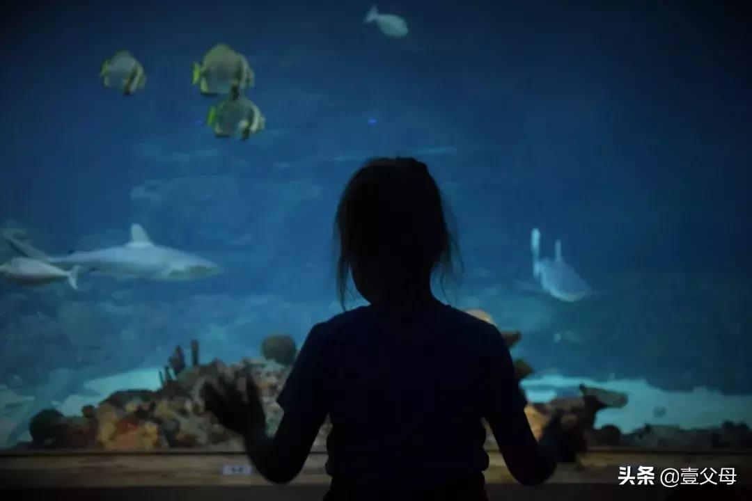 十岁小孩说死就死怎么教育,如果孩子说死了好应该怎样教育