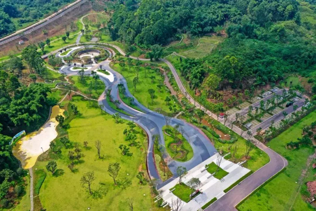 乐山市生态文明,庆祝新中国成立70周年特辑宣讲